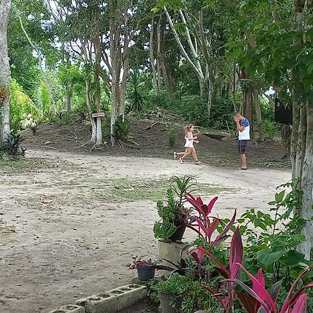 Bed and Breakfast Otoch Beek Calakmul Chicanna Номер фото