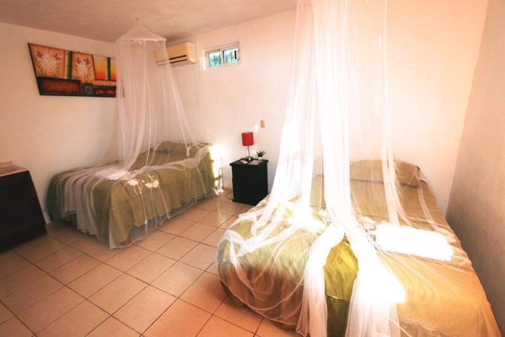 Bed and Breakfast Otoch Beek Calakmul Chicanna Номер фото