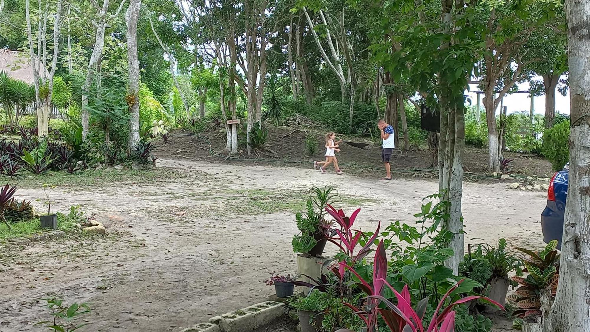 Bed and Breakfast Otoch Beek Calakmul Chicanna Номер фото
