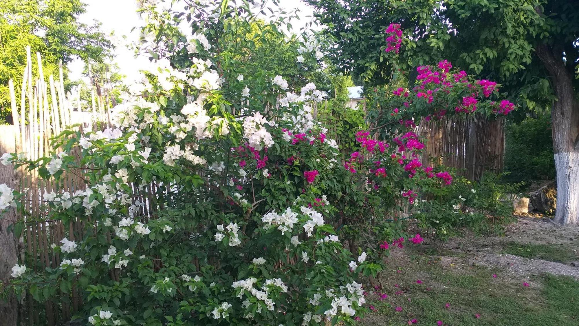 Bed and Breakfast Otoch Beek Calakmul Chicanna Номер фото